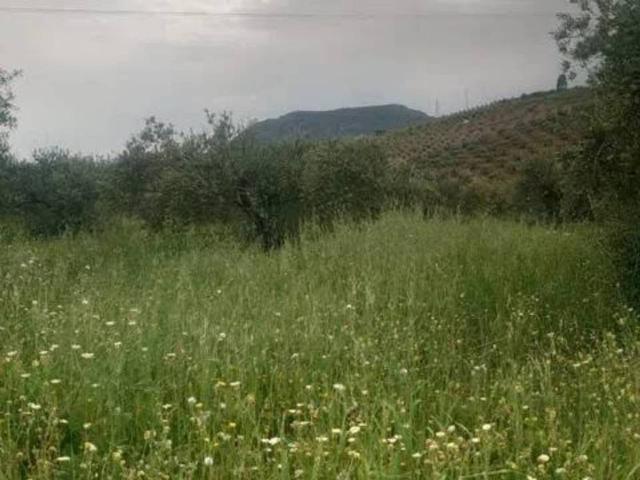 Terreno en venta en Valle del Guadalhorce, Andalucía