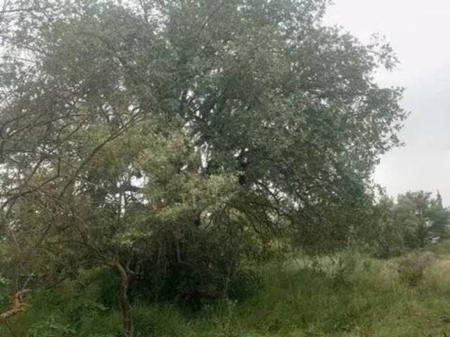 Terreno en venta en El Puente, Valle del Guadalhorce