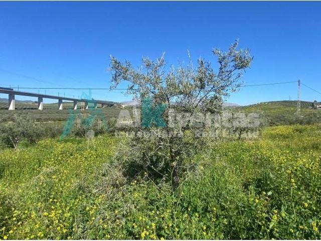 Terreno en venta en Valle del Guadalhorce, Andalucía
