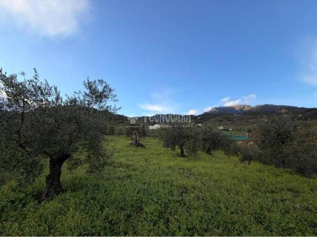 Terreno en venta en Sierra de las Nieves, Andalucía