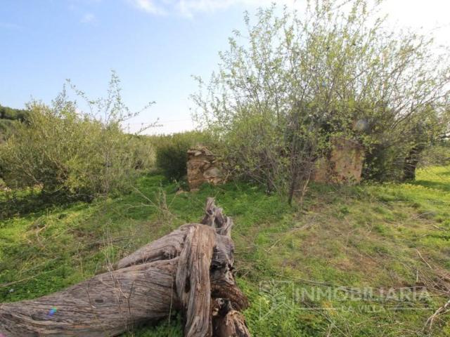 Terreno en venta en Sierra de las Nieves, Andalucía