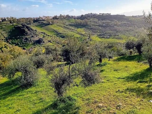 Terreno en venta en Sierra de las Nieves, Andalucía