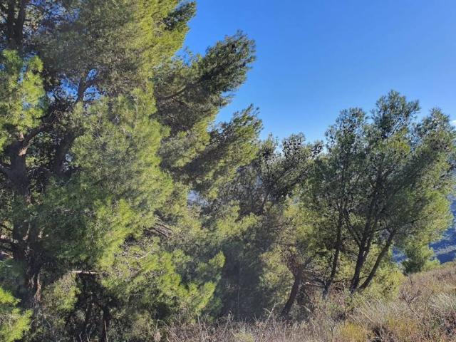 Terreno en venta en Sierra de las Nieves, Andalucía