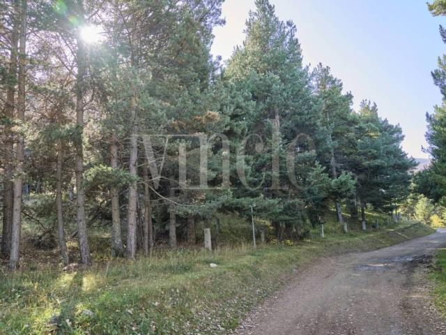 Terreno en venta en Cerdanya, Catalunya