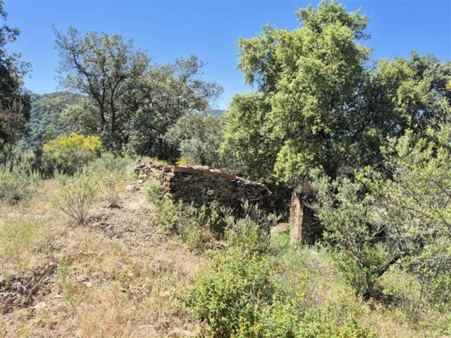 Terreno en venta en Serranía de Ronda, Andalucía