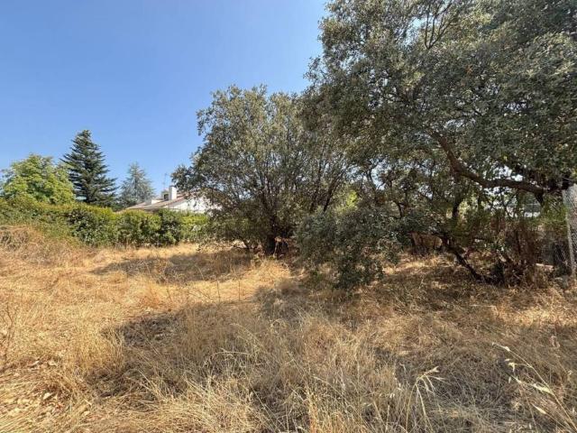 Terreno en venta en Alpedrete, Madrid