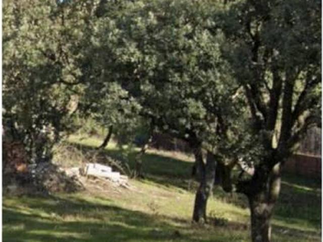 Terreno en venta en Alpedrete Terreno en venta en Alpedrete