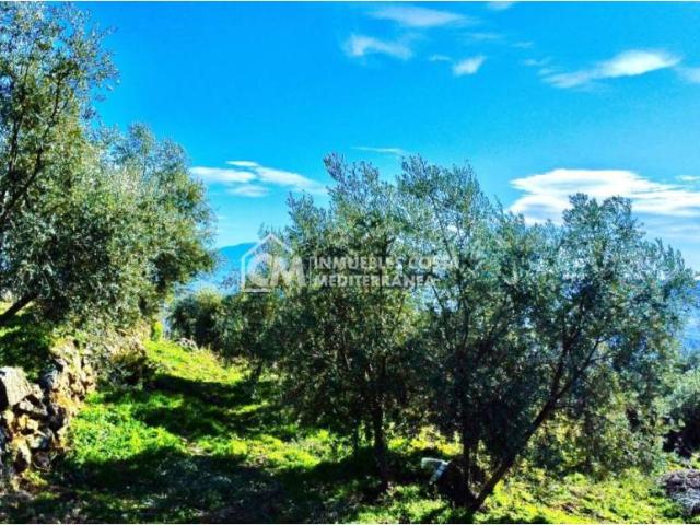 Terreno en venta en Comarca de la Alpujarra Granadina, Andalucía