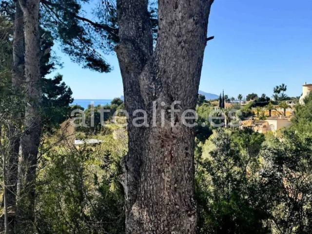 Terreno en venta en la Marina Baixa, Valencia