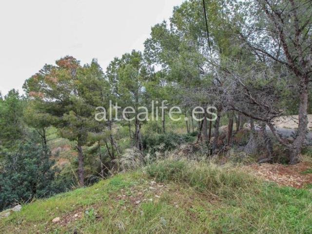 Terreno en venta en la Marina Baixa, Valencia