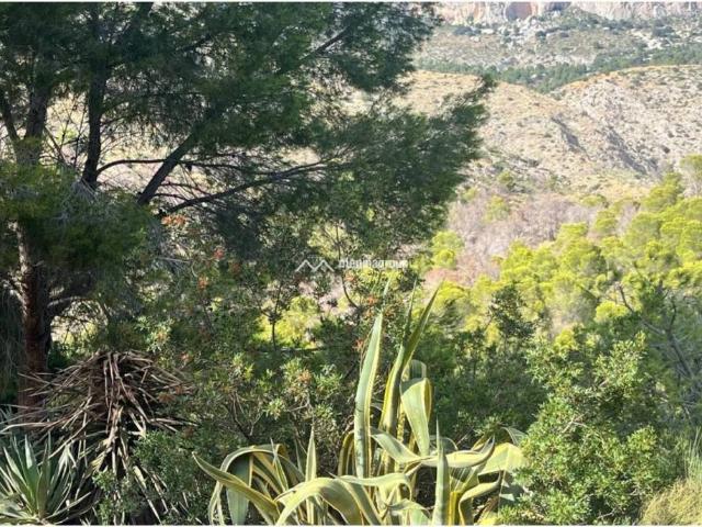 Terreno en venta en la Marina Baixa, Valencia