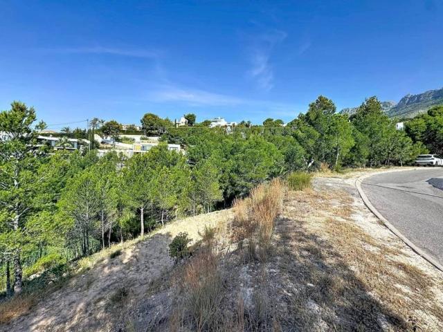 Terreno en venta en la Marina Baixa, Valencia