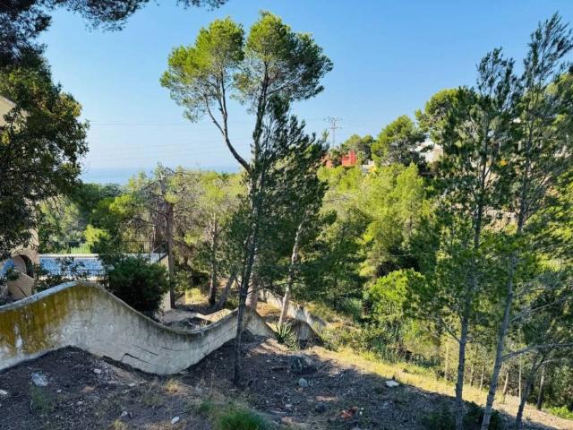 Terreno en venta en la Marina Baixa, Valencia