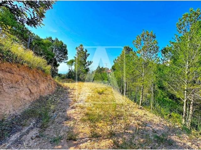Terreno en venta en la Marina Baixa, Valencia