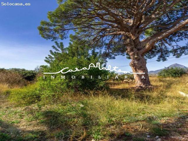 Local Comercial en venta en Sant Roc, la Marina Baixa