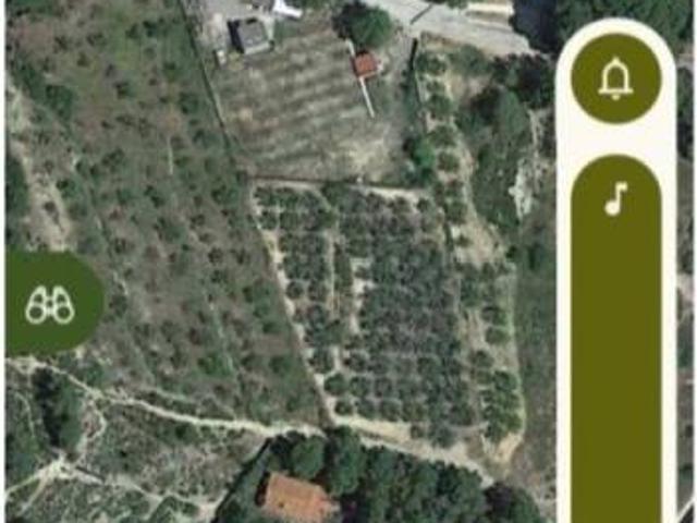 Terreno en venta en l'Alt Palància, Valencia