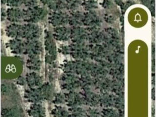 Terreno en venta en l'Alt Palància, Valencia
