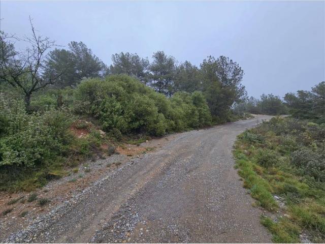 Terreno en venta en l'Alt Palància, Valencia
