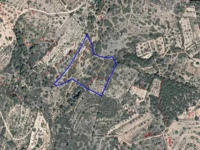 Terreno en venta en l'Alt Palància, Valencia
