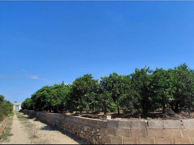 Terreno en venta en el Pla de Corbera, la Ribera Alta