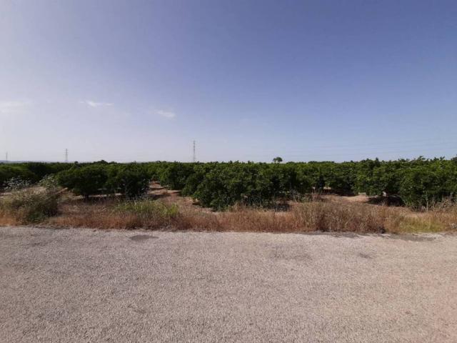 Terreno en venta en la Ribera Alta, Valencia