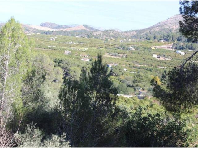 Terreno en venta en la Ribera Alta, Valencia