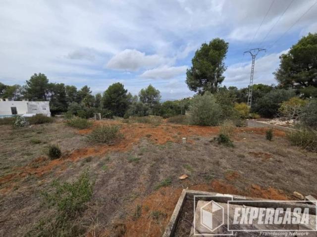 Terreno en venta en la Ribera Alta, Valencia