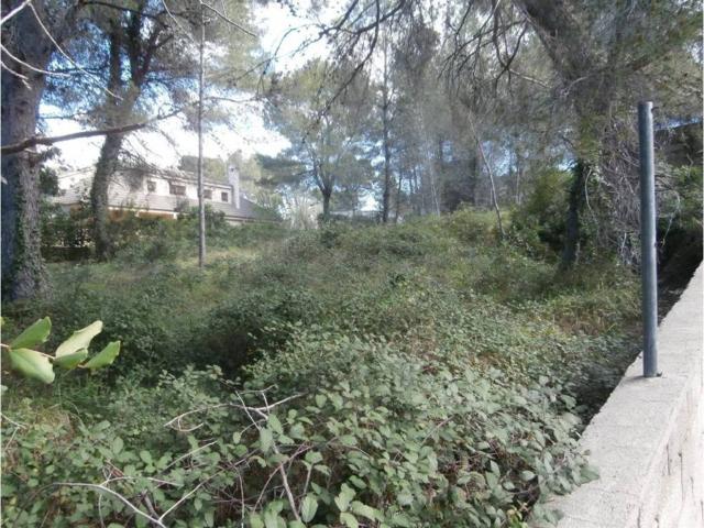 Terreno en venta en la Ribera Alta, Valencia