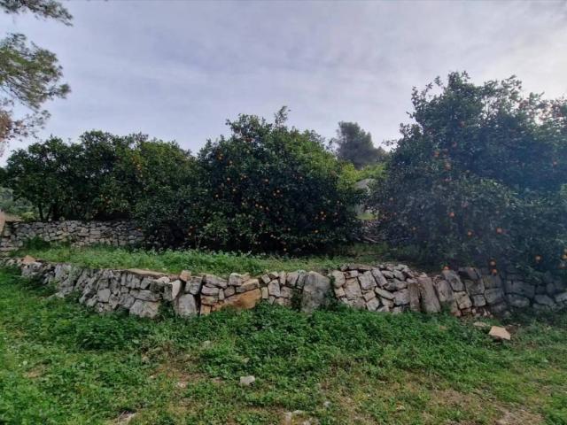 Terreno en venta en la Ribera Alta, Valencia