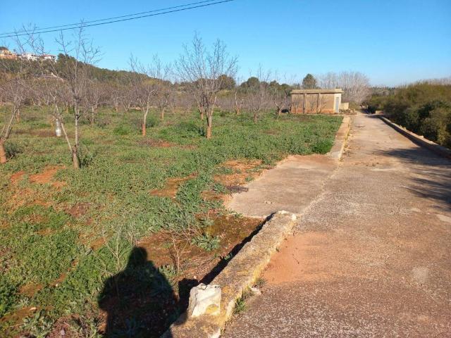 Terreno en venta en la Ribera Alta, Valencia
