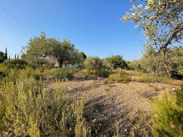 Terreno en venta en la Ribera Alta, Valencia