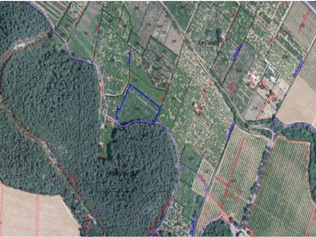 Terreno en venta en la Ribera Alta, Valencia