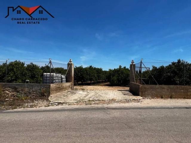 Terreno en venta en la Ribera Alta, Valencia