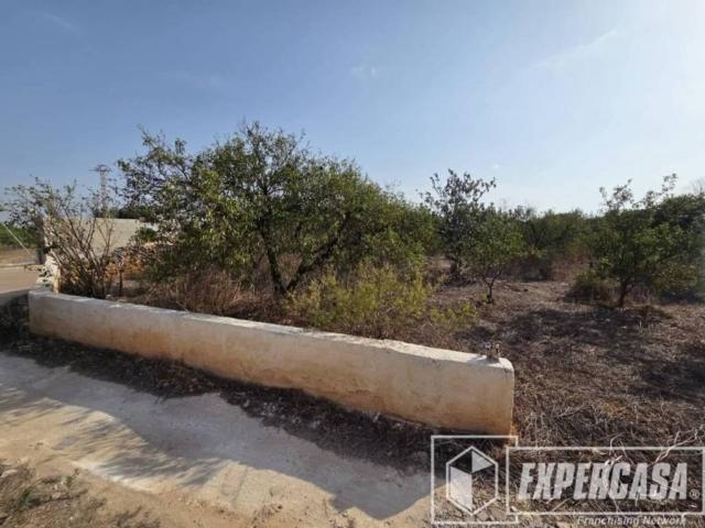 Terreno en venta en la Ribera Alta, Valencia