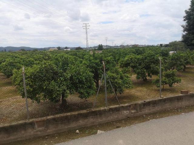 Terreno en venta en la Ribera Alta, Valencia