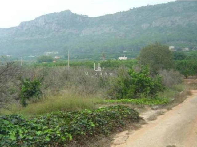 Terreno en venta en la Ribera Alta, Valencia