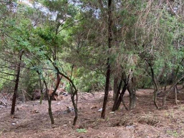 Terreno en venta en Morelos