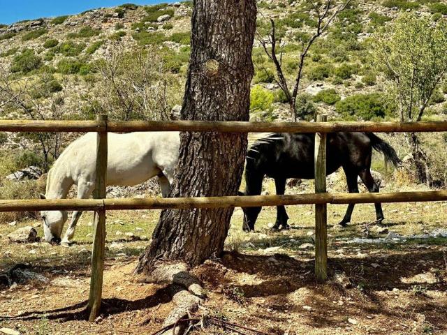 Terreno en venta en Ambite