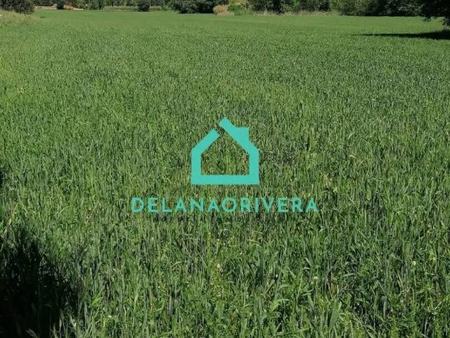 Terreno en venta en Ambite, Madrid