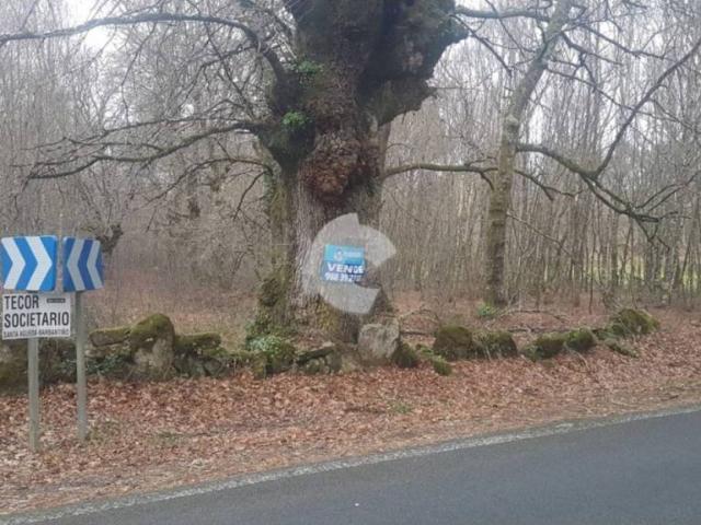 Terreno en venta en Ourense, Galicia