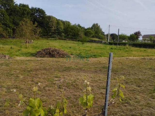 Terreno en venta en Amoeiro, Ourense