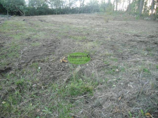 Terreno en venta en Amoeiro, Ourense