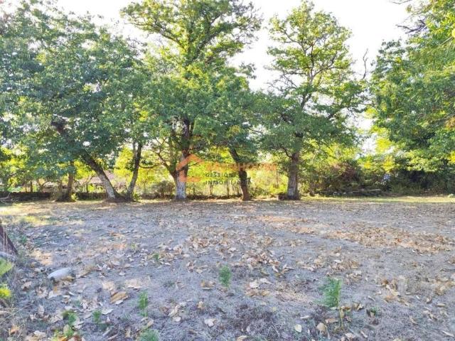 Terreno en venta en Ourense, Galicia
