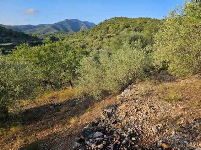 Terreno en venta en Montsià, Catalunya