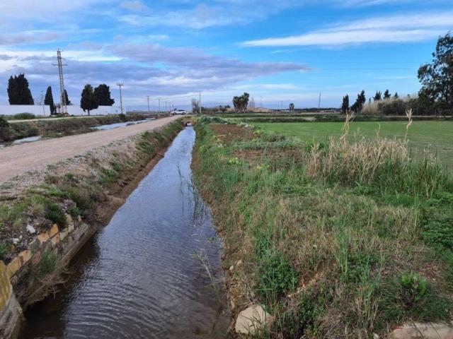 Terreno en venta en Amposta, Tarragona