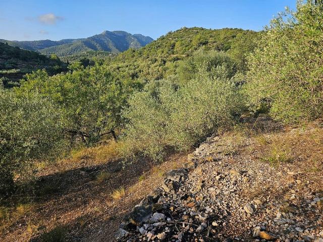 Terreno en venta en Amposta
