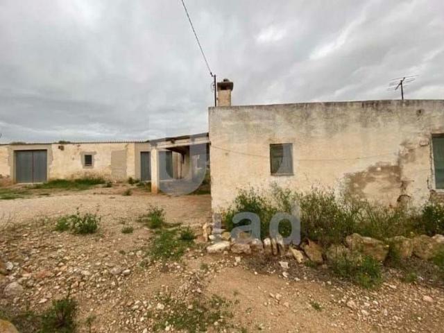 Terreno en venta en Amposta