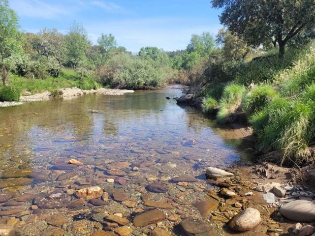 Terreno en venta en Anchuras, Castilla-La Mancha
