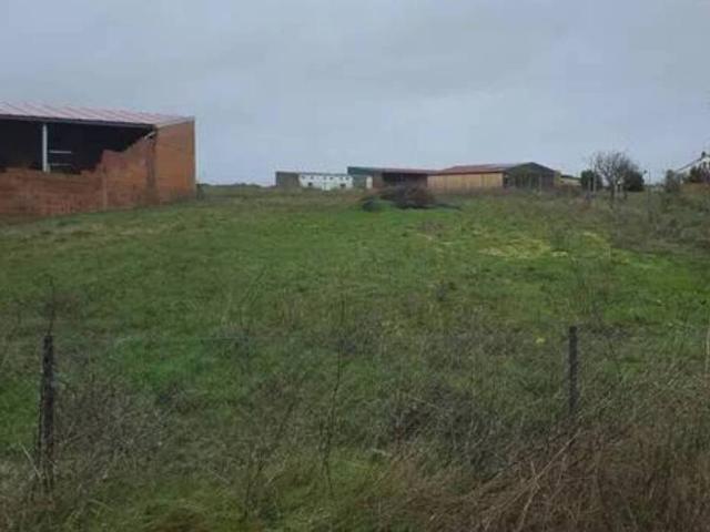 Terreno en venta en Andavías, Castilla y León