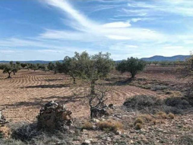 Terreno en venta en Andorra-Sierra de Arcos, Aragón